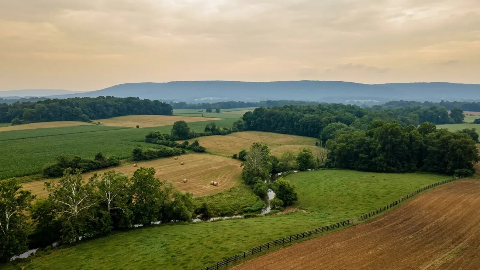 Rolling central Maryland farmland with hedgerows, sycamores along a stream and a low wooded ridge on the horizon.