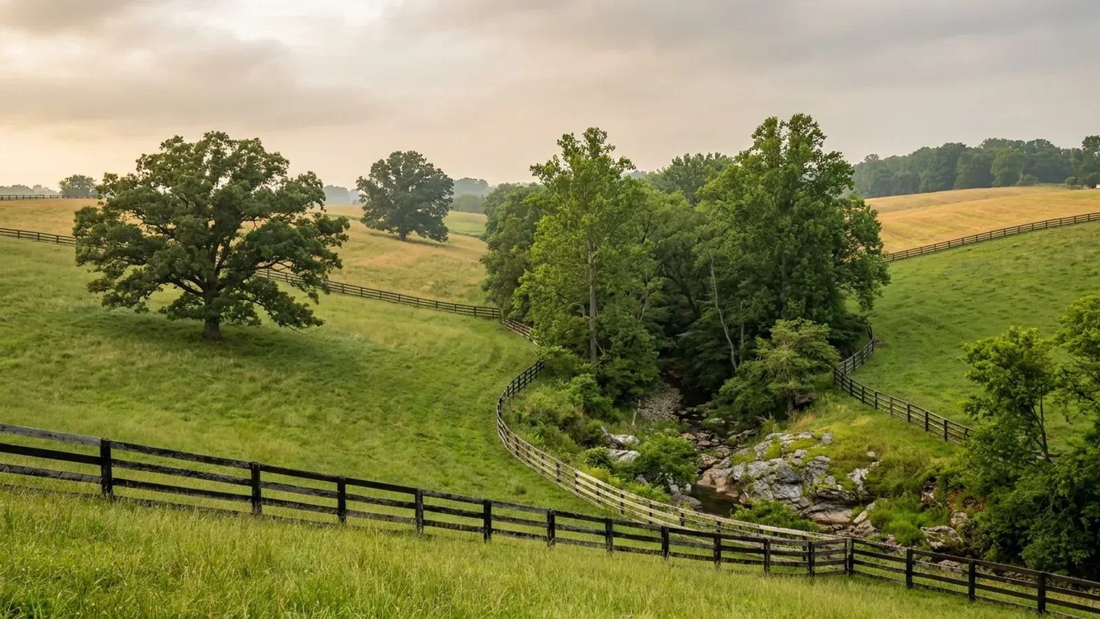 Rolling board-fenced pasture with large specimen oaks and a wooded stream valley in the rural north of the Baltimore region.